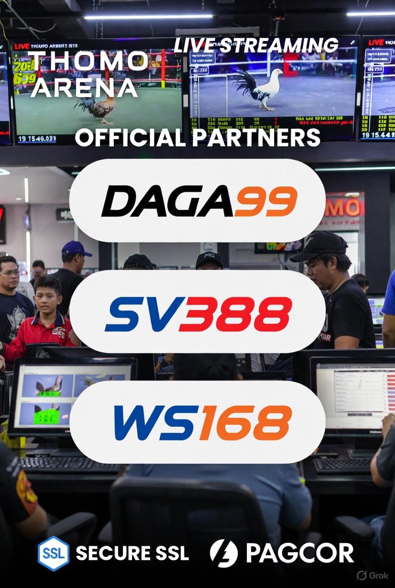 DAGA99 - Đá gà Thomo trực tiếp uy tín